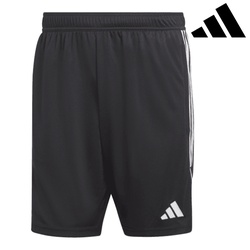 Adidas Shorts tiro23 l tr (1/4)
