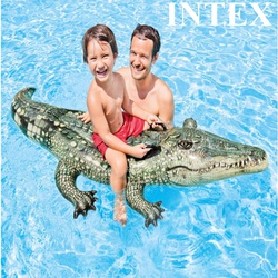 Intex Ride-On Realistic Gator 57551 3+ Yrs