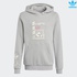 Image for the colour Ash Grey