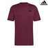 Image for the colour Maroon