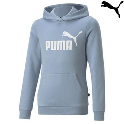 Puma Sweatshirts ess logo hoodie fleece