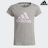 Image for the colour Ash Grey