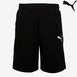 Puma Shorts teamgoal 23 casuals