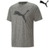 Image for the colour Ash Grey