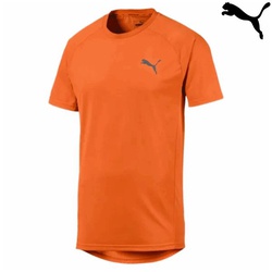 Puma T-shirt r-neck evostripe tee