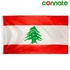 Image for the colour Lebanon