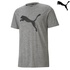 Image for the colour Ash Grey