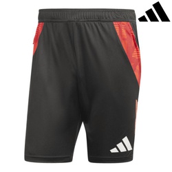 Adidas Shorts tiro24 c tr (1/2)