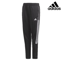 Adidas Pants tiro21 tr pnt y (1/1)