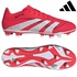 Image for the colour Red