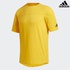 Image for the colour Yellow