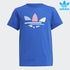 Image for the colour Royal