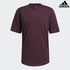 Image for the colour Maroon