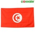 Image for the colour Tunisia
