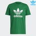 Image for the colour Green/White