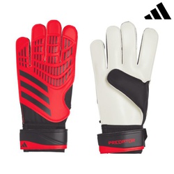 Adidas Goalkeeper gloves predator training