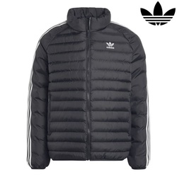 Adidas originals Jackets padded coll