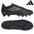Image for the colour Black/Silver