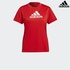 Image for the colour Red