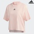 Image for the colour Peach