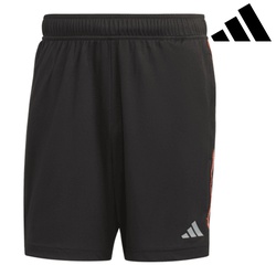 Adidas Shorts wo base (1/2)