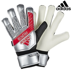 Adidas Goalkeeper Gloves Pred Ttrn Fs