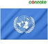Image for the colour United Nation