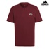 Image for the colour Maroon