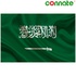 Image for the colour Saudi Arabia