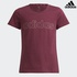 Image for the colour Maroon