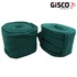 Image for the colour Turquoise
