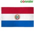 Image for the colour Paraguay
