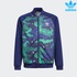 Image for the colour Navy/Green