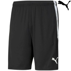 Puma Shorts teamliga