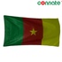 Image for the colour Cameroon