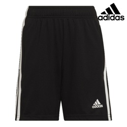 Adidas Shorts tiro tr sho esy